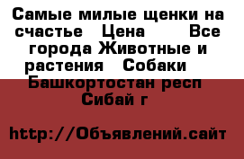 Самые милые щенки на счастье › Цена ­ 1 - Все города Животные и растения » Собаки   . Башкортостан респ.,Сибай г.